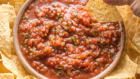 5 Minute Blender Salsa - Hollis Homestead 